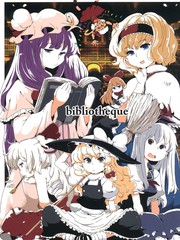 bibliotheque