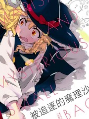 被追赶的魔理沙