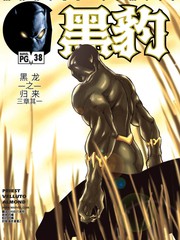 黑豹v3